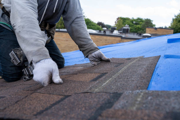 Best Roof Gutter Cleaning  in Whitesboro, AL