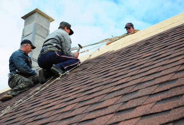 Best Emergency Roof Repair  in Whitesboro, AL
